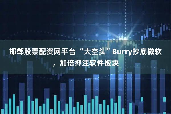 邯郸股票配资网平台 “大空头”Burry抄底微软，加倍押注软件板块