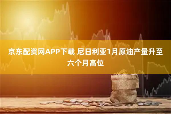 京东配资网APP下载 尼日利亚1月原油产量升至六个月高位